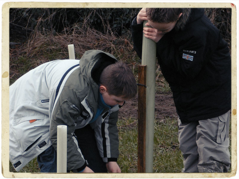tree planting countryside students