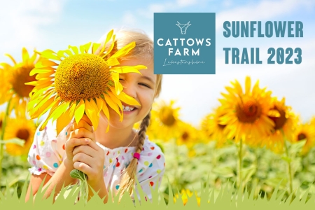 Sunflower Trail Photographer Pass