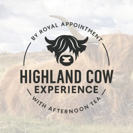 Highland Cow Experience with Afternoon Tea
