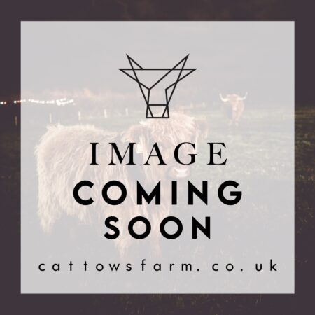 Morning Tea Voucher For One