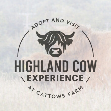 Adopt and Meet a Highland Cow